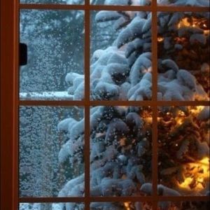 Meet your Posher, Frances